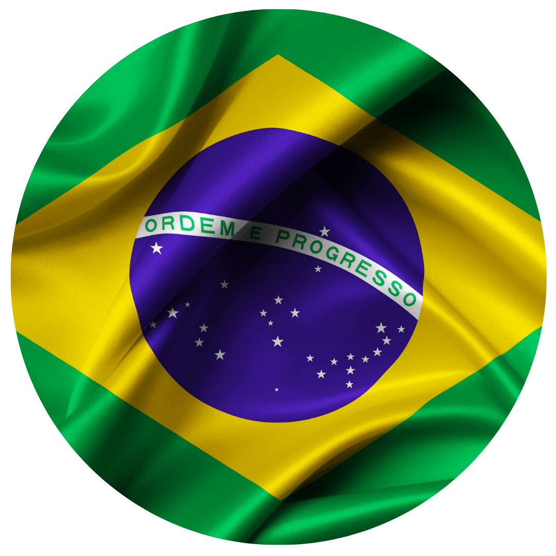 Brazil Flag